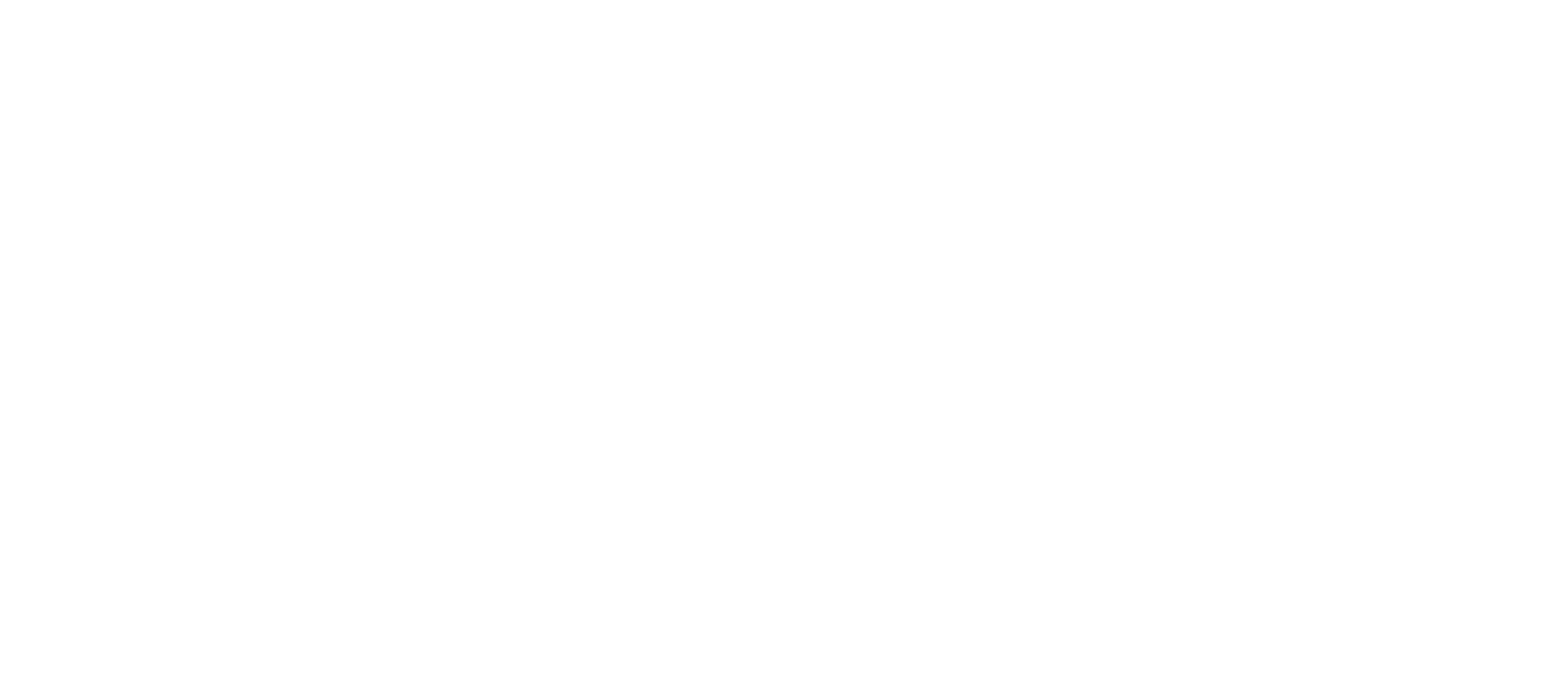 light logo